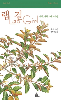 랩걸