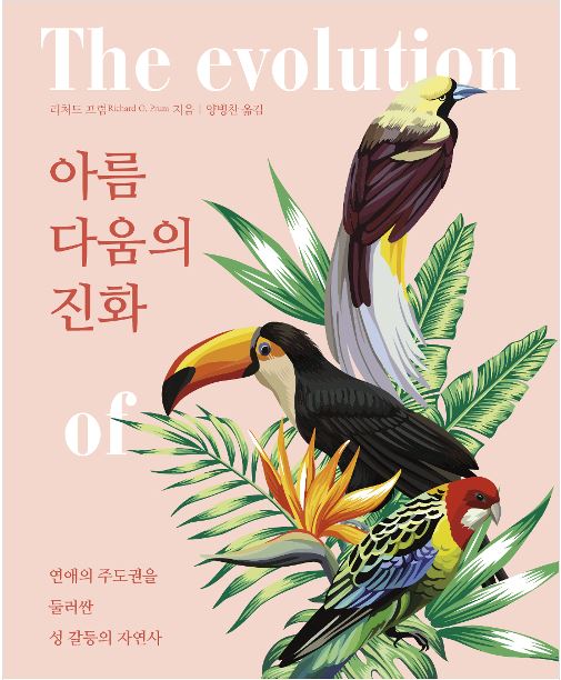 아름다움의 진화